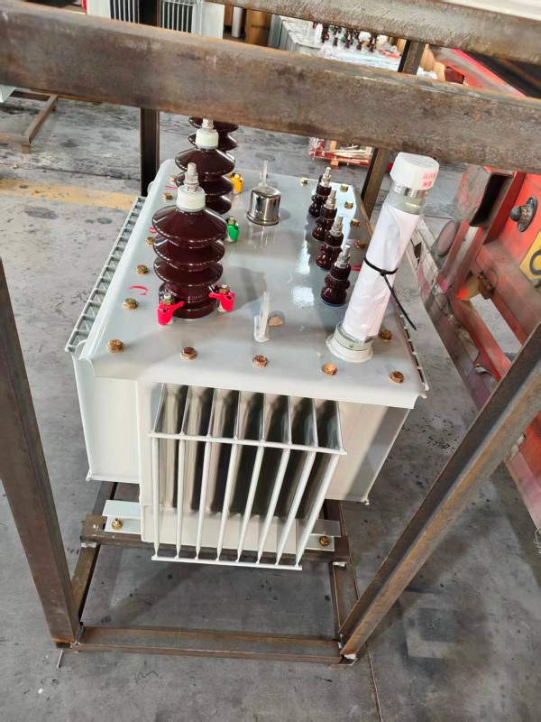 S13‑1000kVA 临武临武临武油浸式变压器 大型厂区 S13 临武临武临武油浸式变压器